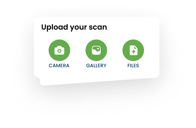 EdocSmart extracting invoice data and exporting to CSV, PDF, JSON, XLS, Tally and Busy ERP